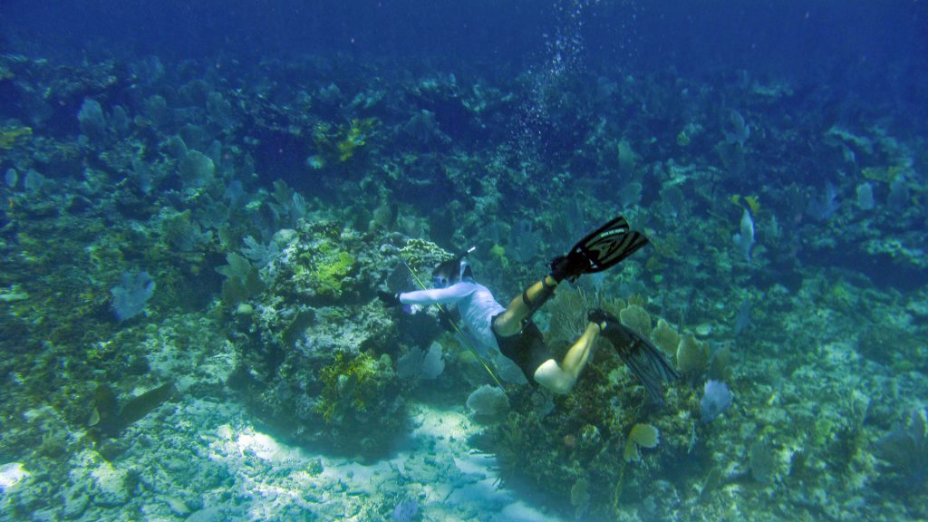 snorkeling abaco bahamas