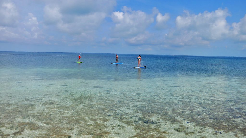 paddle board in abaco