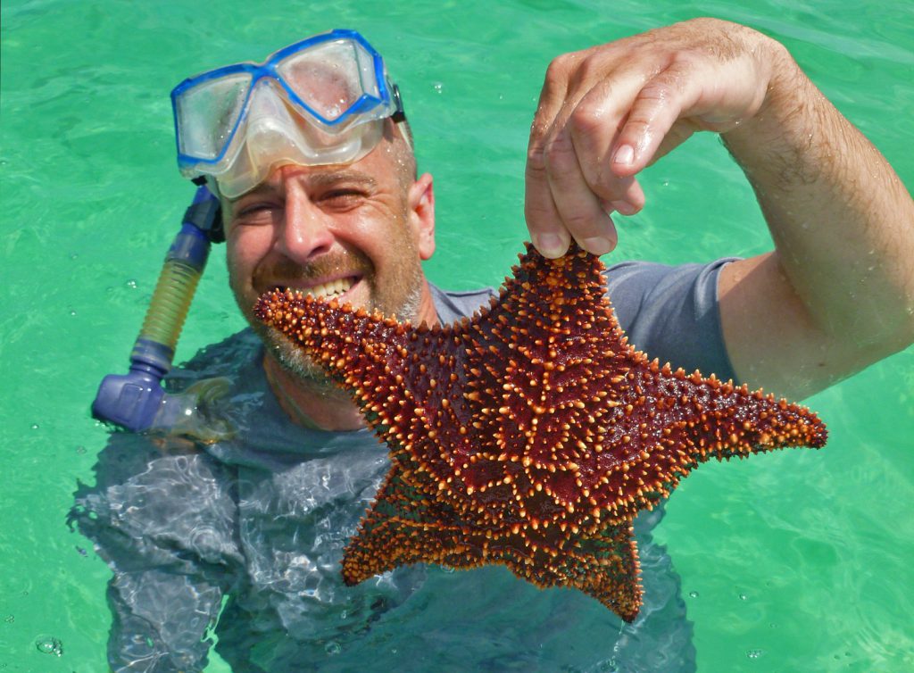 starfish at Tilloo